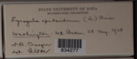 Image Associated With the Occurence